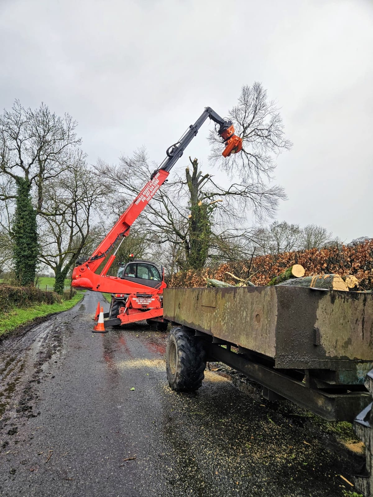 Thomas Rooney Manitou loading cut ash logs into a trailer on a wet roadside in Co. Meath