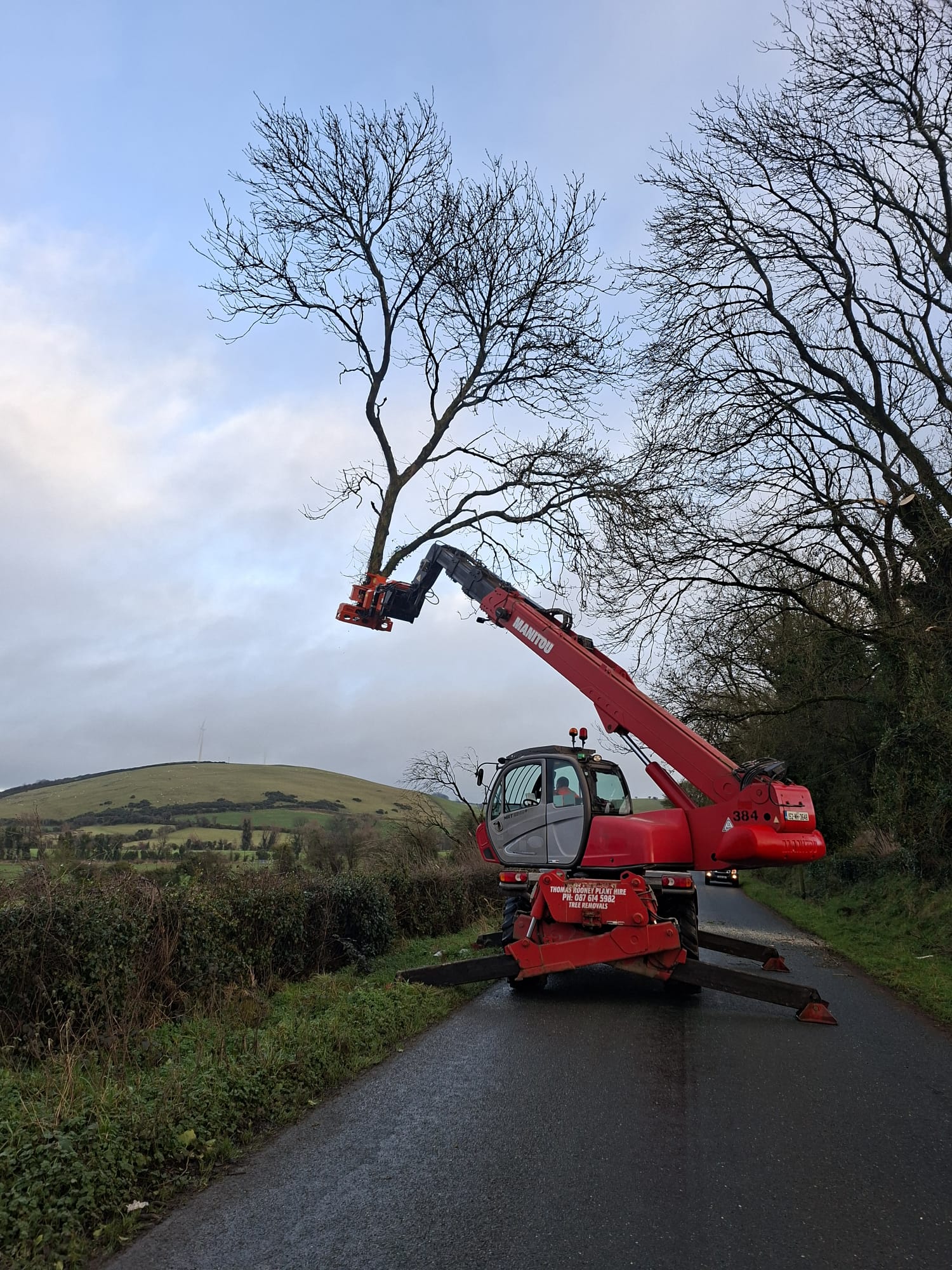 Roadside tree removal in Co. Meath with hills in background